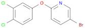 5-BROMO-2-(3,4-DICHLOROPHENOXY)-PYRIDINE