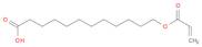 Dodecanoic acid, 12-[(1-oxo-2-propenyl)oxy]-