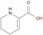 1,4,5,6-tetrahydropyridine-2-carboxylic acid