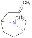 8-METHYL-3-METHYLENE-8-AZA-BICYCLO[3.2.1]OCTANE