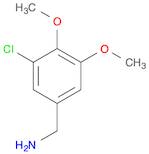 3-CHLORO-4,5-DIMETHOXYBENZENEMETHANAMINE