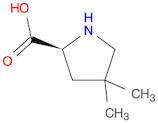 (S)-4,4-DIMETHYL-PYRROLIDINE-2-CARBOXYLIC ACID