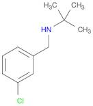 N-(3-CHLOROBENZYL)-2-METHYL-2-PROPANAMINE