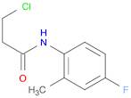 Propanamide,3-chloro-N-(4-fluoro-2-methylphenyl)-