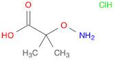 2-(Aminooxy)-2-methylpropanoic acid hydrochloride