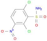 Benzenesulfonamide,2,6-dichloro-3-nitro-