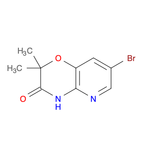 7-BROMO-2,2-DIMETHYL-2H-PYRIDO[3,2-B][1,4]OXAZIN-3(4H)-ONE