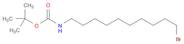 10-(t-Boc-amino)-1-decylbromide