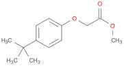 Aceticacid, 2-[4-(1,1-dimethylethyl)phenoxy]-, methyl ester