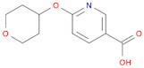 3-Pyridinecarboxylicacid, 6-[(tetrahydro-2H-pyran-4-yl)oxy]-