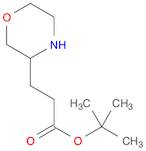 tert-Butyl 3-(morpholin-3-yl)propanoate