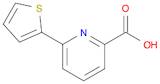 6-Thien-2-ylpyridine-2-carboxylic acid