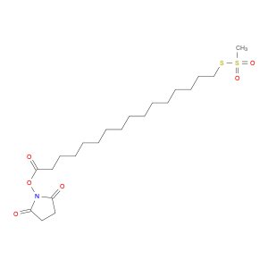 N-Succinimidyloxycarbonylpentadecyl Methanethiosulfonate