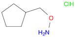 O-(Cyclopentylmethyl)hydroxylamine hydrochloride