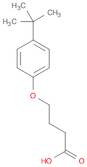 Butanoicacid, 4-[4-(1,1-dimethylethyl)phenoxy]-