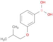 3-Isobutoxyphenylboronic acid