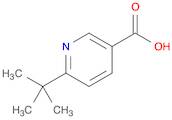 6-tert-butylnicotinic acid