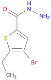 4-BROMO-5-ETHYLTHIOPHENE-2-CARBOHYDRAZIDE