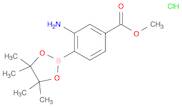 Methyl 3-amino-4-(4,4,5,5-tetramethyl-1,3,2-dioxaborolan-2-yl)benzoate hydrochloride