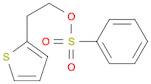 2-(2-THIENYL)ETHYL BENZENESULFONATE