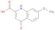 7-Methoxy-4-oxo-1,4-dihydroquinoline-2-carboxylic acid