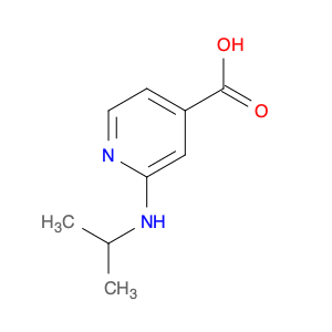 2-(Isopropylamino)isonicotinic acid