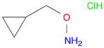 CYCLOPROPYL METHOXYLAMINE HYDROCHLORIDE