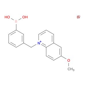 Quinolinium, 1-[(3-boronophenyl)methyl]-6-methoxy-, bromide