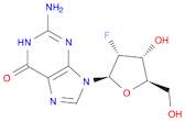 2'-Fluoro -2'-deoxyguanosine