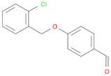 4-[(2-CHLOROBENZYL)OXY]BENZALDEHYDE