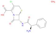 Cefaclor monohydrate