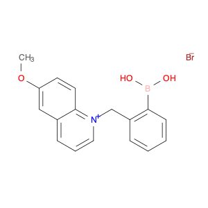 Quinolinium, 1-[(2-boronophenyl)methyl]-6-methoxy-, bromide