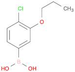 (4-Chloro-3-propoxyphenyl)boronic acid