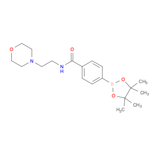 Benzamide,N-[2-(4-morpholinyl)ethyl]-4-(4,4,5,5-tetramethyl-1,3,2-dioxaborolan-2-yl)-