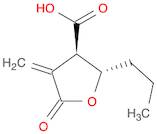 Butyrolactone 3