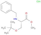 BZL-SER(TBU)-OME HCL