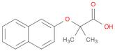 2-METHYL-2-(2-NAPHTHYLOXY)PROPANOIC ACID