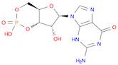 Guanosine 3',5'-monophosphate