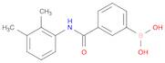 3-Borono-N-(2,3-dimethylphenyl)benzamide