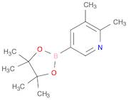 2,3-DIMETHYL-5-(4,4,5,5-TETRAMETHYL-1,3,2-DIOXABOROLAN-2-YL)PYRIDINE