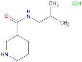 N-ISOBUTYLPIPERIDINE-3-CARBOXAMIDE HYDROCHLORIDE