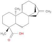 Kaurenoic acid