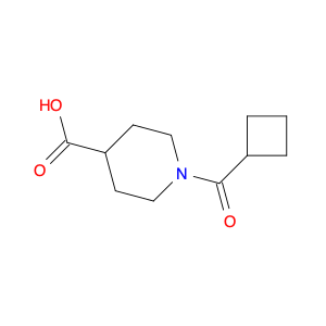 1-(cyclobutylcarbonyl)piperidine-4-carboxylic acid