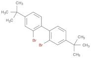 2,2'-Dibromo-4,4'-di-tert-butyl-1,1'-biphenyl