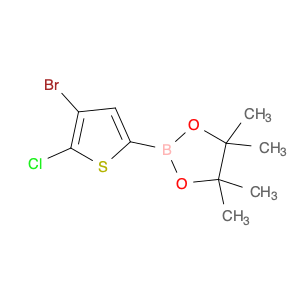 4-Bromo-5-chlorothiophene-2-boronic acid, pinacol ester