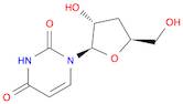 3'-DEOXYURIDINE