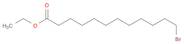 Dodecanoic acid, 12-bromo-, ethyl ester