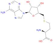 S-(5'-deoxyadenosin-5'-yl)-L-Homocysteine