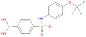 (4-(N-(4-(Trifluoromethoxy)phenyl)sulfamoyl)phenyl)boronic acid