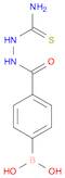 2-(4-BORONOBENZOYL)HYDRAZINECARBOTHIOAMIDE